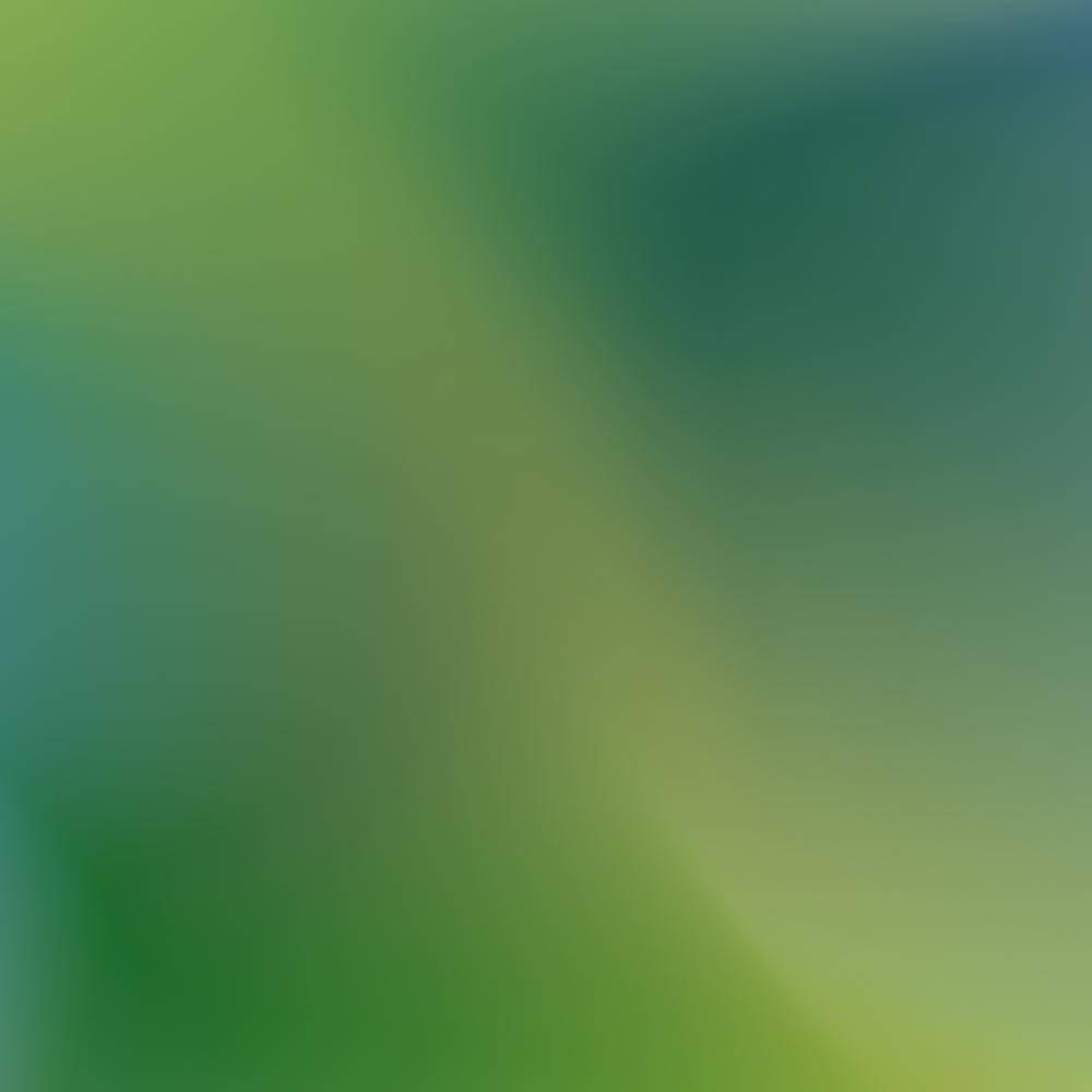 苹果 iOS 16 更新带来全新 Home 壁纸，你可以在这里下载