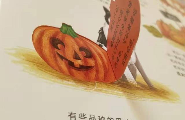 从《亚当农场的一年》，走进真正的农场