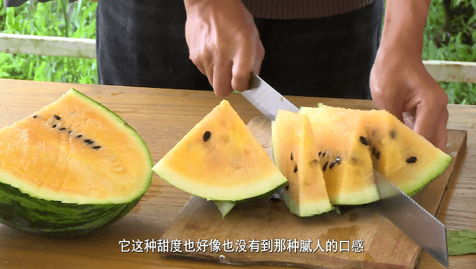 无西瓜不夏天：走！到黄岩北洋这家“西瓜博物馆”手剥西瓜去~