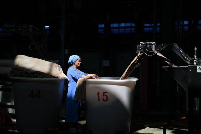 青年说 | 到中亚,奔赴一场激动人心的“探秘”