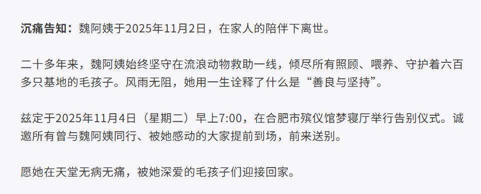 合肥卖房救助流浪狗的魏阿姨离世,病中仍然惦记着基地的600只流浪狗,工人:不敢相信世上还有这样执着的人