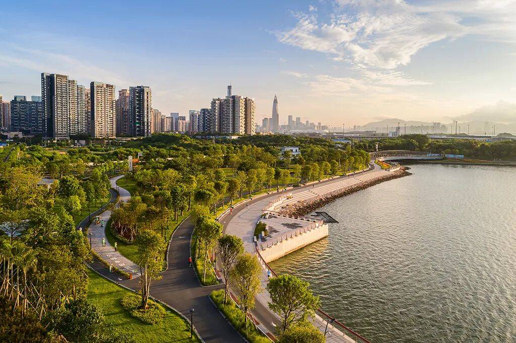 十五运会热力“燃”动鹏城