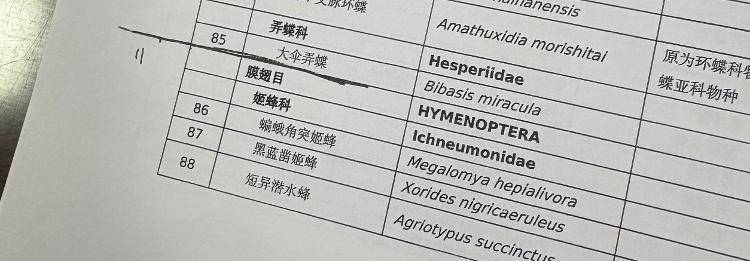 央视曝光“杀人蜂”滥养牟利引关注 四川犍为：正联合调查虎头蜂养殖情况