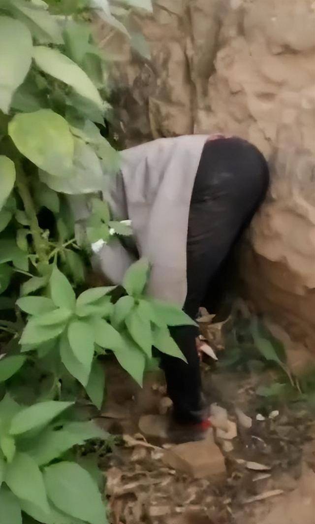 陕西一女子疑因拍亲姑姑偷玉米遭姑父棍杀,邻居欲报警也遇害