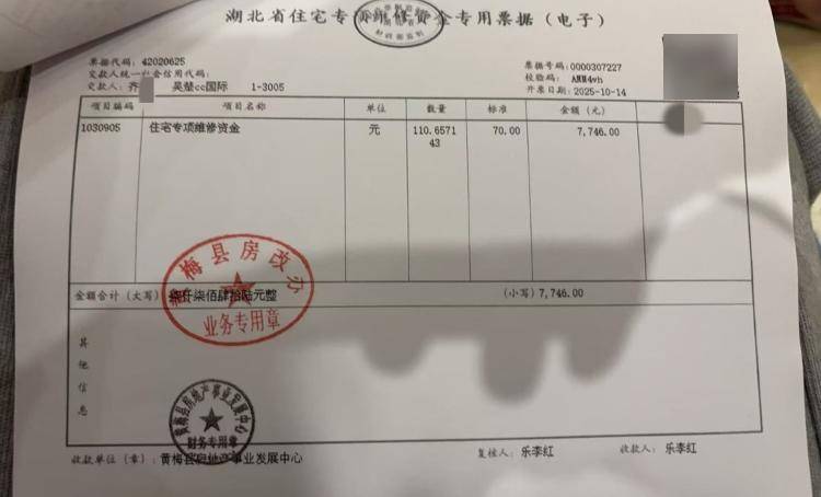 85套法拍房办证难背后：部分购房者先遇烂尾，筹款自救后又遭法拍