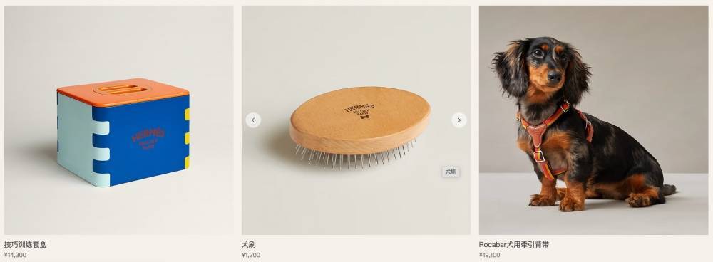 爱马仕新上架2万元不锈钢狗碗，客服：只剩少量库存