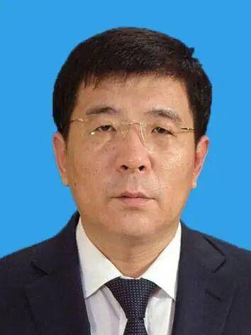 厅官宋耀伟,主动投案