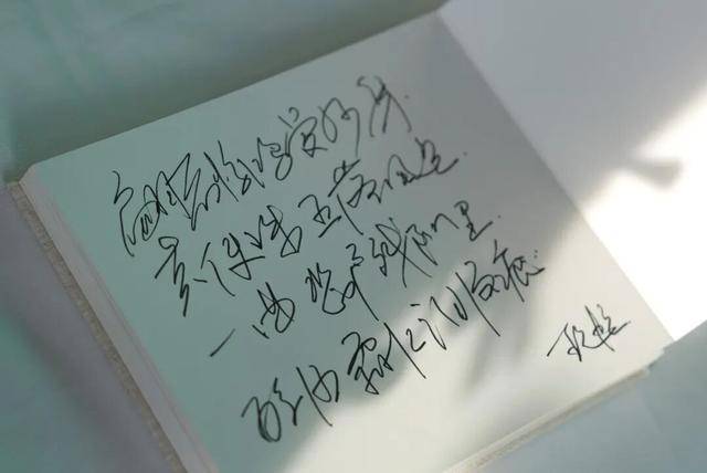 何晴之子追思:妈妈很喜欢雪,北京这场雪好像是为她而下