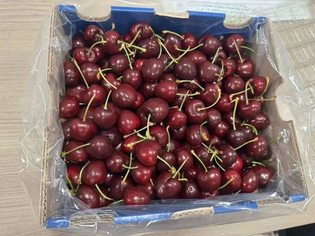 1700元降至500元!“年货顶流”价格大跳水,预计还要降……