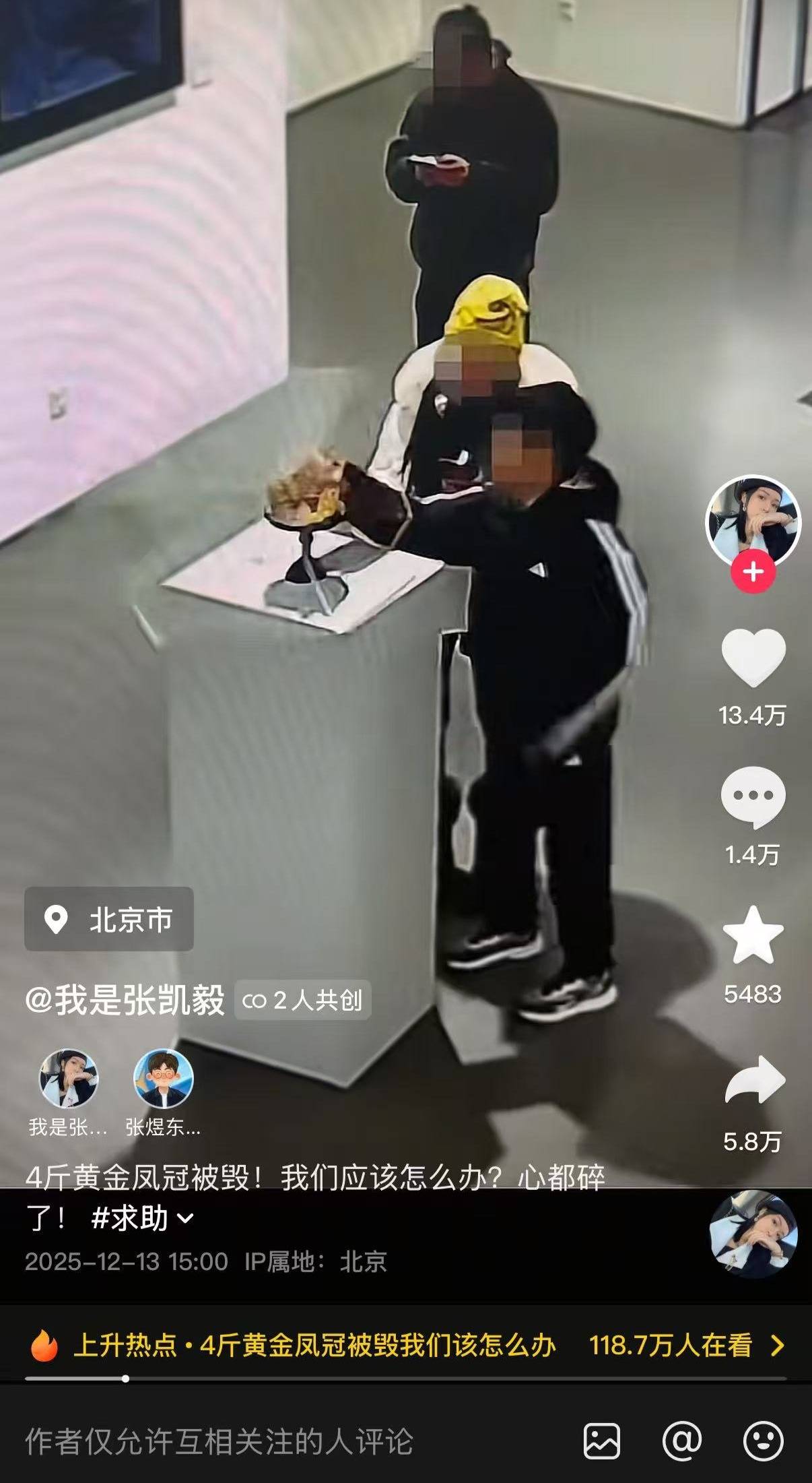 4斤黄金凤冠在免费展览中被男童触碰损坏,办展美术馆:罩子是没有固定的,律师分析