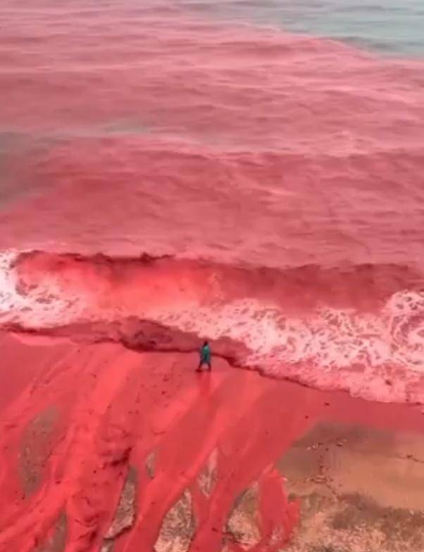 罕见!伊朗霍尔木兹岛遭遇强降雨,部分海域变成“血色海洋”