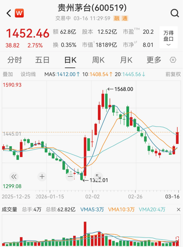 “老登股”,逆势大涨!