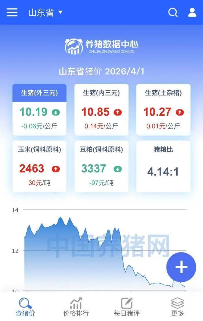 济南猪肉价格“大跌”，排骨低至“个位数”，记者实探商超和批发市场！有市民感慨价格真便宜